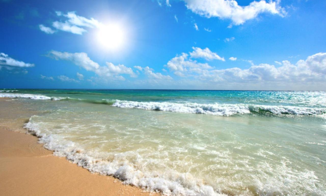 Admiral Plaza A 11 Apartment Sunny Beach Exterior foto
